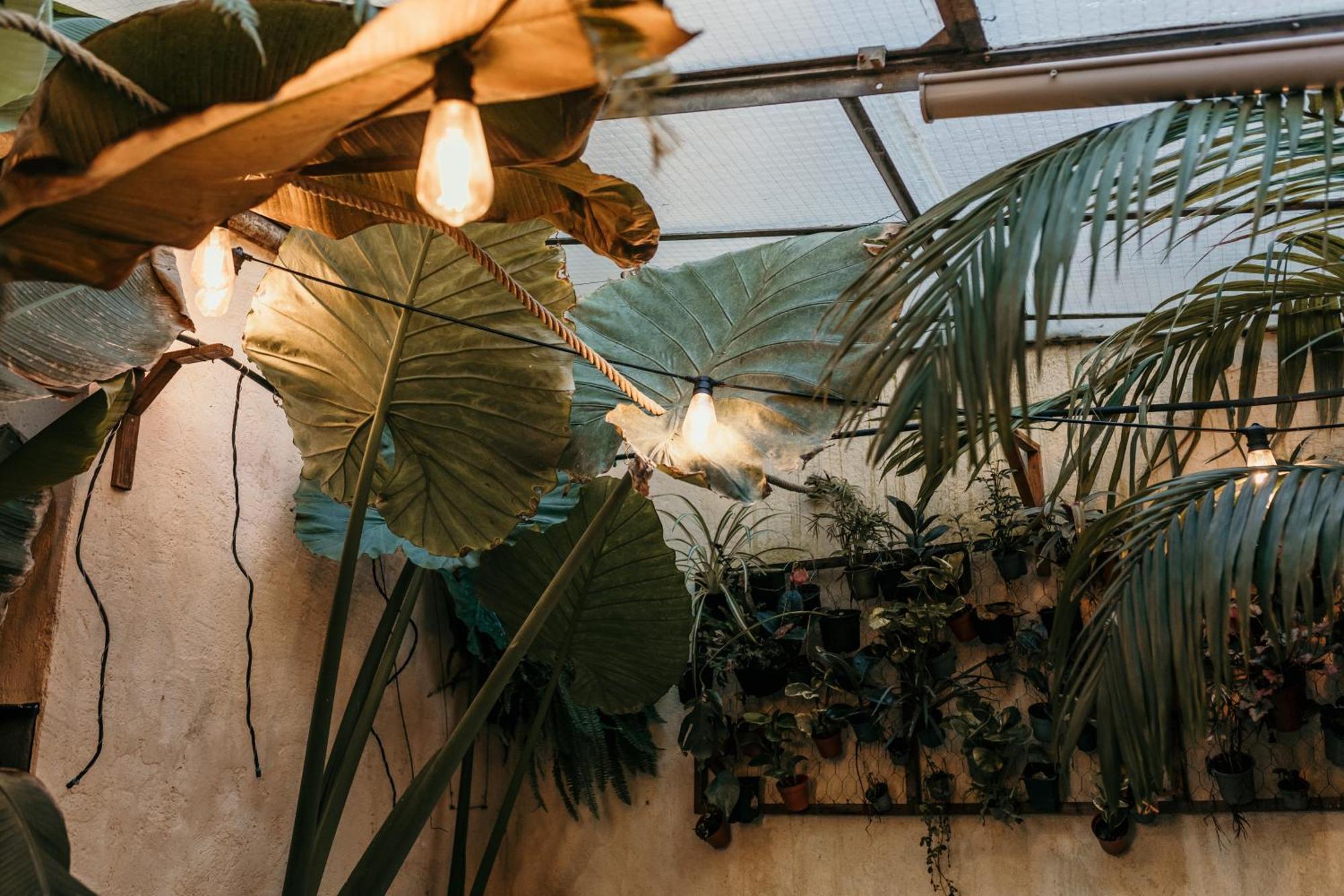 Myinsolite - Cocon Tropical, Jacuzzi, Enigme